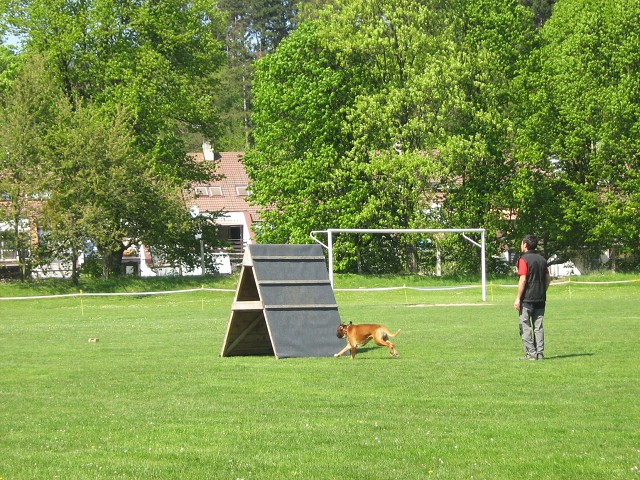 www.atibox.net * www.euroboxer.eu * www.boxergenealogia.eu